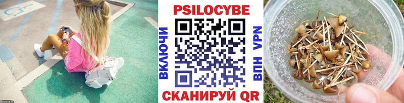 Галлюциногенные грибы GOLDEN TEACHER  Купить  Соль-Илецк 